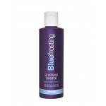Blue Frosting Silverising Shampoo 250ml 12 pack