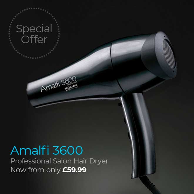 Amalfi Professional Salon Hair Dryer